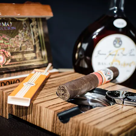 Glandon Elite Bienne